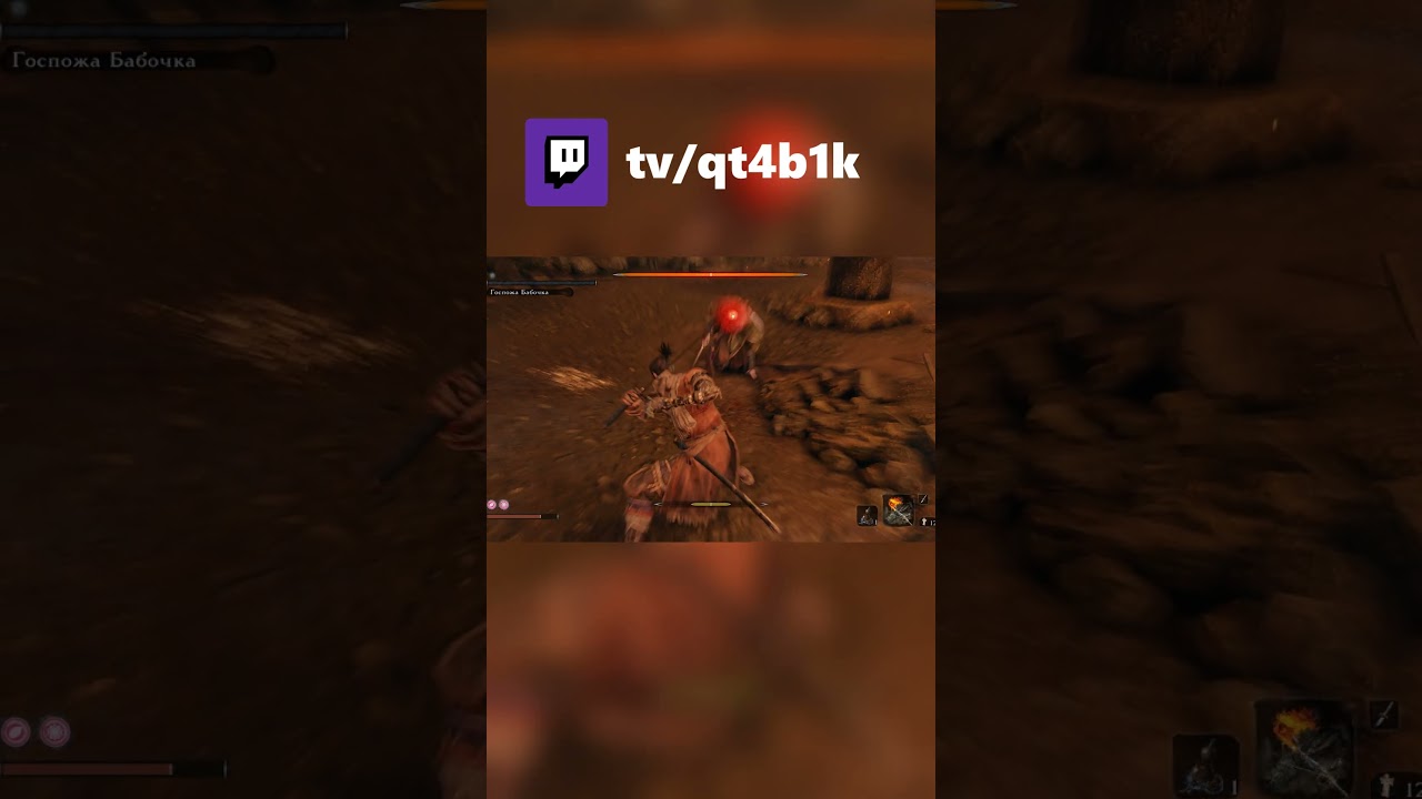 Бабочку со 2 трая XD