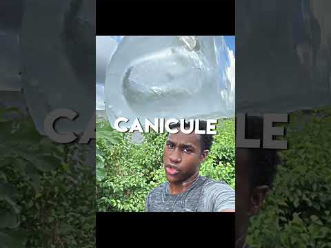 CANICULE🤣😭 #drole #humour #edit #alightmotion #fyp #shorts