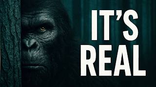 They Saw Bigfoot. Their Testimonies Were Silenced.