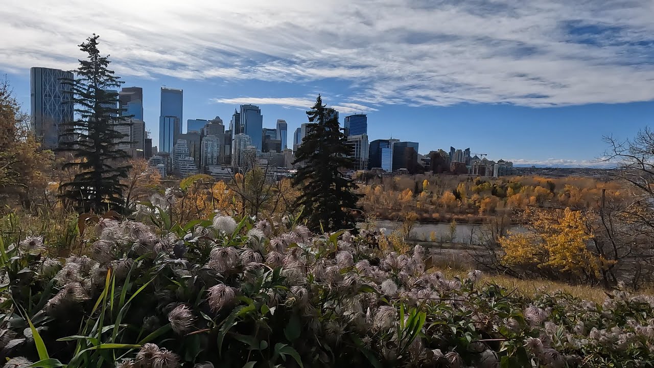 Calgary city walk October 15th 2023