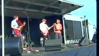 dog salad - lucy's fur