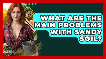 What Are The Main Problems With Sandy Soil? - The World of Agriculture