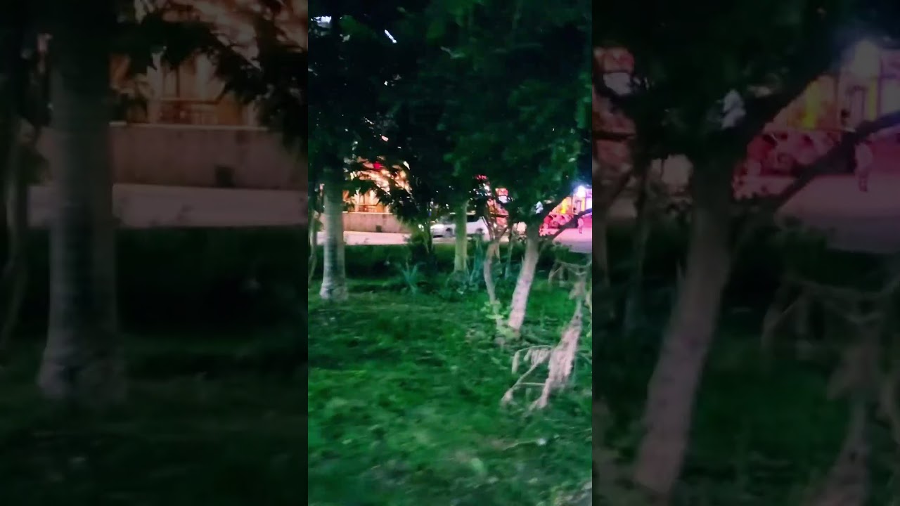 Вечером по городу 