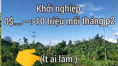 Cách khởi nghiệp ở nông thôn kiếm 5-100 triệu mổi tháng cho người mới bắt đầu