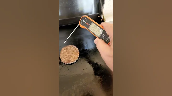 ThermoPro instant meat thermometer