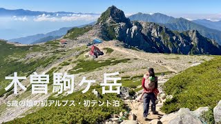 アルビン・ブルノフスキ　迷宮の世界と心の楽園 アルビン・ブルノフスキ 迷宮の世界と心の楽園