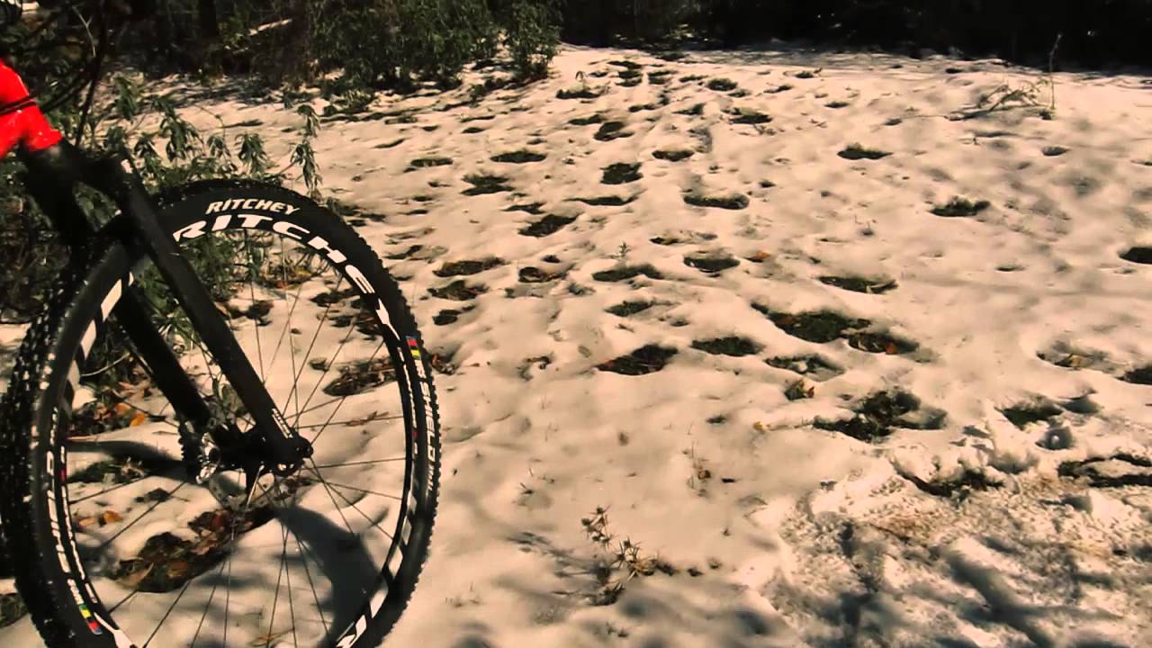 ritchey p29 for sale