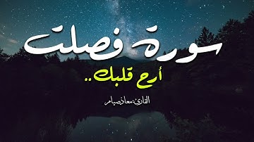 سورة فصلت [ كاملة ] | راحة لقلبك  ـ معاذ صيام | Moaz Syam