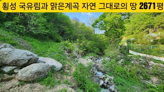 현장매물 브리핑 | 0512-유동자연인 | 1억3천만원 | 국유림과 계곡접 자연인 농지 2671평 (방림공인 010 3733 2002)
