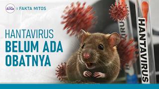 Belum Ada Obatnya! Ini Tips Mencegah Hantavirus | Hidup Sehat tvOne