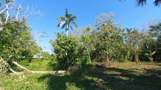 RECORRIDO POR EL TERRENO EN VENTA UBICADO EN HUAPACAL Cunduacan Tabasco