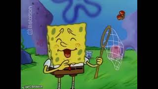 Spongebob Squarepants Season 1 Bahasa Indonesia Texas 14