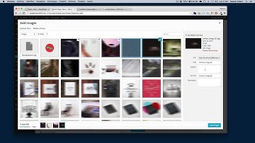 Alice Wordpress Theme - Lightbox Image Gallery