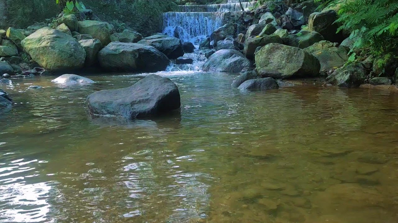 Soothing Moonlight River – Gentle Water Ambience for Deep and Restorative Sleep