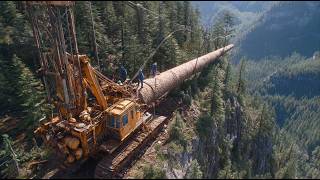Insane Logging Machines Transform Trees! Complete Lumber Production Process Inside