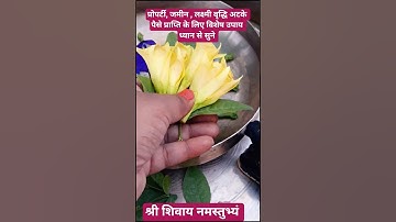 सावन में कनेर के पुष्प का उपाय #upay #kaner #ytshorts #yt #ytsearch #viralshort #viralvideo #viral