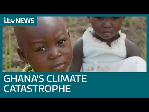 Ghana's catastrophe is now - but a ‘great green wall’ offers hope | ITV News