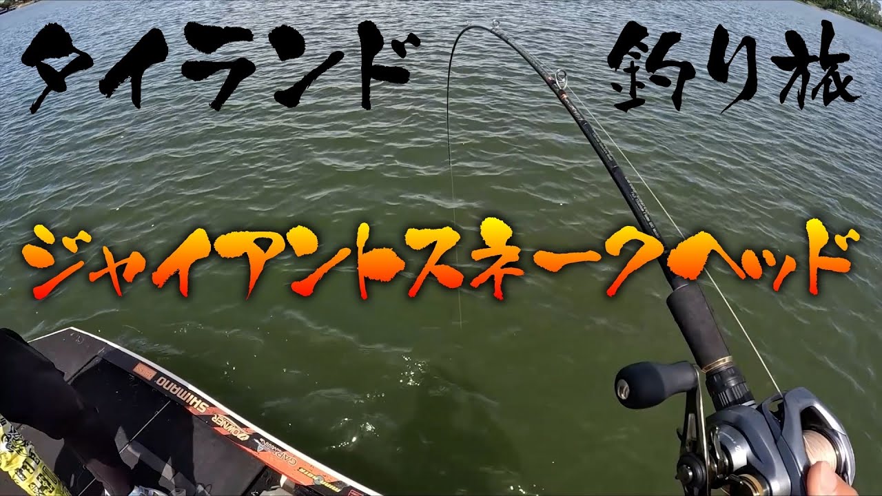 雷魚を釣る旅へ出た。トップウォーターでバイト多発のプライベートポンド【視聴者プレゼント有り】 - 2023年7月 タイランド・チャドー釣り旅総集編