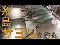 No.19【サヨリ釣り】糸島のサヨリ釣り の動画、YouTube動画。
