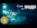 К чему снится ВОДА - ПРОЗРАЧНАЯ и МУТНАЯ. Сон про воду: трактовка по СОННИКУ.