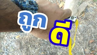 หนังสติ๊ก, ถูก ดี แม่น screenshot 3