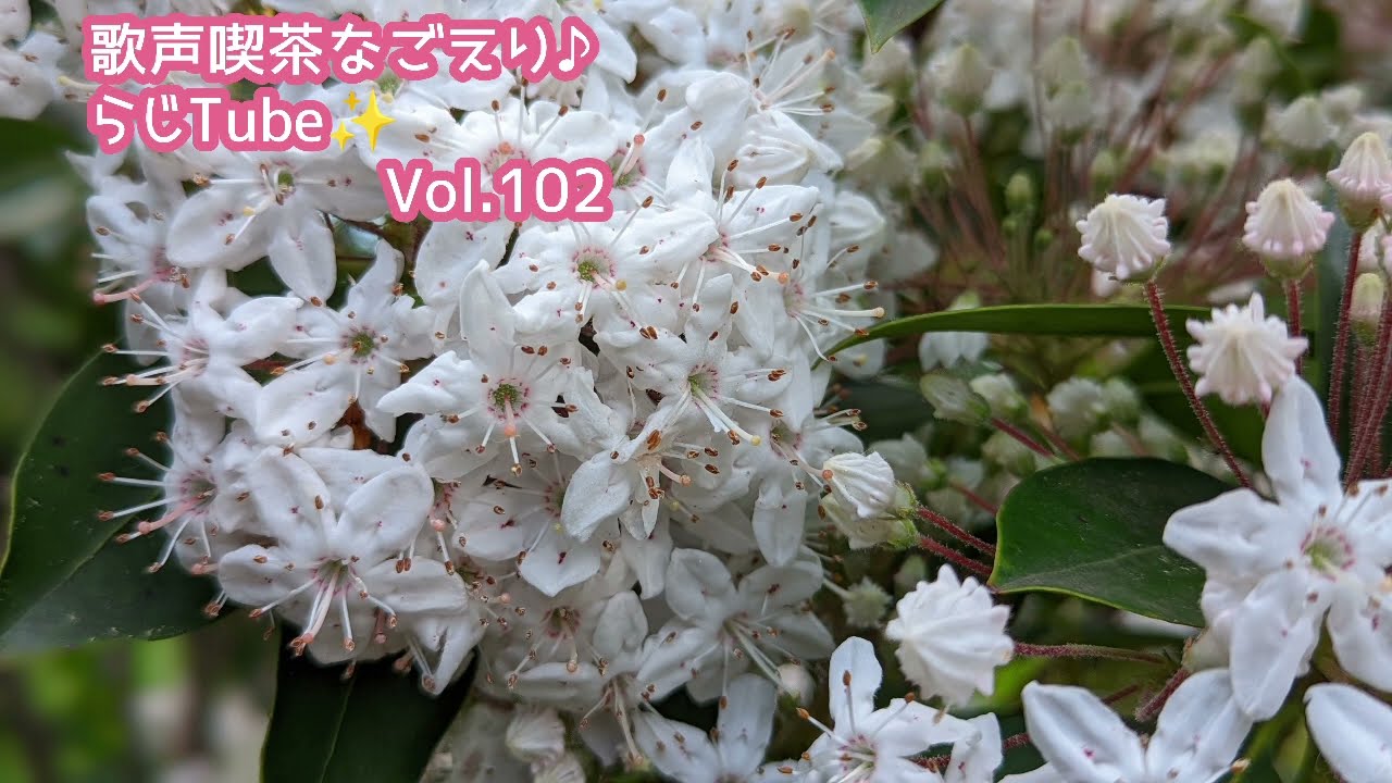 cover song 杉田二郎『男どうし』Vol.102