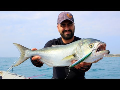 Dev Lüferler Tekneye Atlayacaktı / Yok Böyle Bir Adrenalin !!