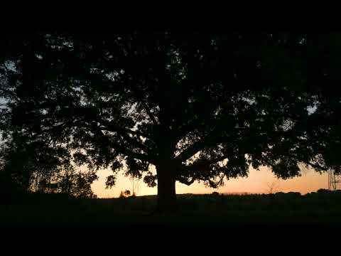 Sunrise and the