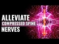 Spine Pressure Relief Alleviate Compressed Spine Nerves Heal Degenerative Changes Of The Spine 
