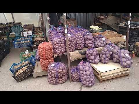 День в г.