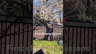 First tree climbing lessons#climbing #treeclimbing #climbinglovers