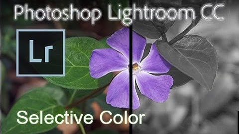 Lightroom CC - The Selective Color Effect [Tutorial]*
