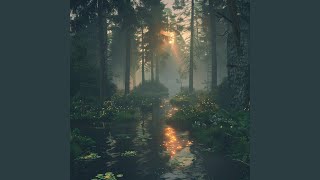Quiet Calm Melodies Flow