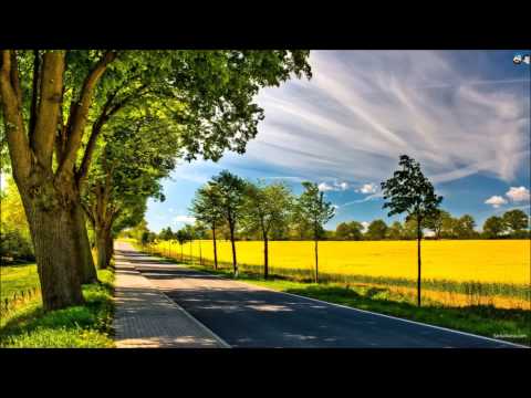 Mitha Mitha Lyrics in Hindi Bombay Race Course