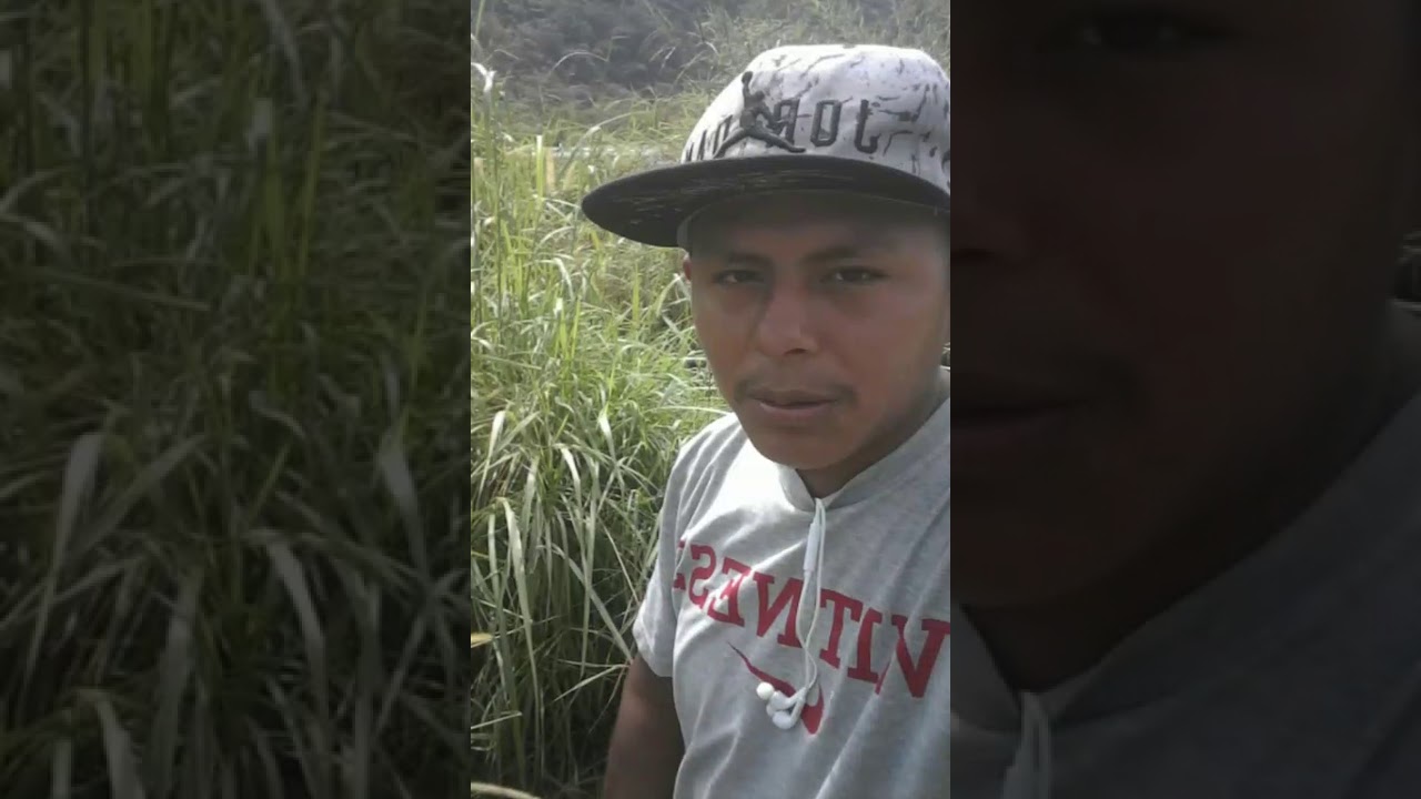 FREE FLOW $116$CRIS23 FT SAID DEDICATORIA