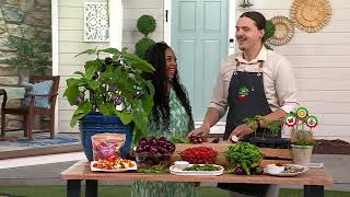 Roberta's 6-pc Patio Perfect Veggies Live Plants on QVC
