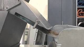 Pecan Halves  Processing on Optyx® 3000 Laser / Camera Sorter