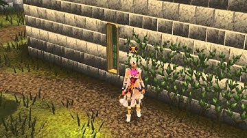 TOTA 718 [RSPS] Random Bird Egg hatch feature! Feat. Moonwalking Zamorak chick ... OF DOOM!