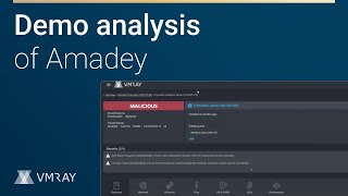 Demo analysis of Amadey