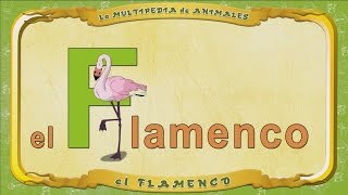 La Multipedia De Animales. Letra F - El Flamenco