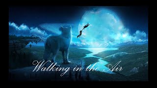 Video thumbnail of "Nightwish - Walking In The Air Orchestral Version"