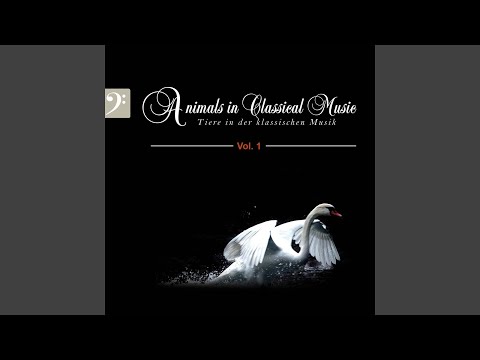 Le Chant du rossignol, Symphonic Poem: II. Marche chinoise