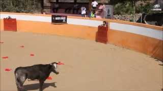 What Is The Mexico Death Race?