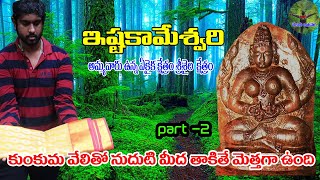 Sri Istakameswari Devi Temple , Srisailam details | Trip to istakameswari temple, Srisailam Part-2 screenshot 5