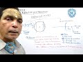 Spherical mirror and its type and general terms