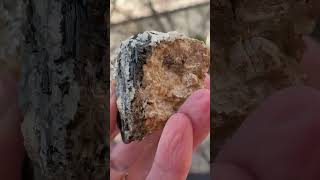 Black Tourmaline On Pegmatite Rock
