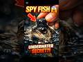 SPY FISH 😱 What It Recorded Underwater Will Shock You!#SpyFish #UnderwaterMystery #HiddeFishin life