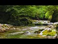 【自然の音】沢のせせらぎ -8 / Nature Sounds - The Murmuring of the Mountain Stream (8)