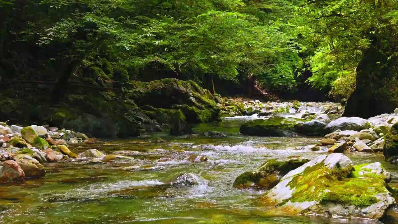 【自然の音】沢のせせらぎ -8 / Nature Sounds - The Murmuring of the Mountain Stream (8)