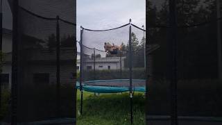 double kaboom x2 #flipping #trampoline #gtramp #yeet